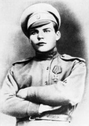 малиновский родион яковлевич – маршал советского союза